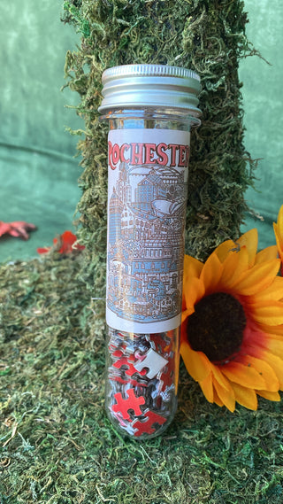 ROCHESTER MICRO PUZZLE